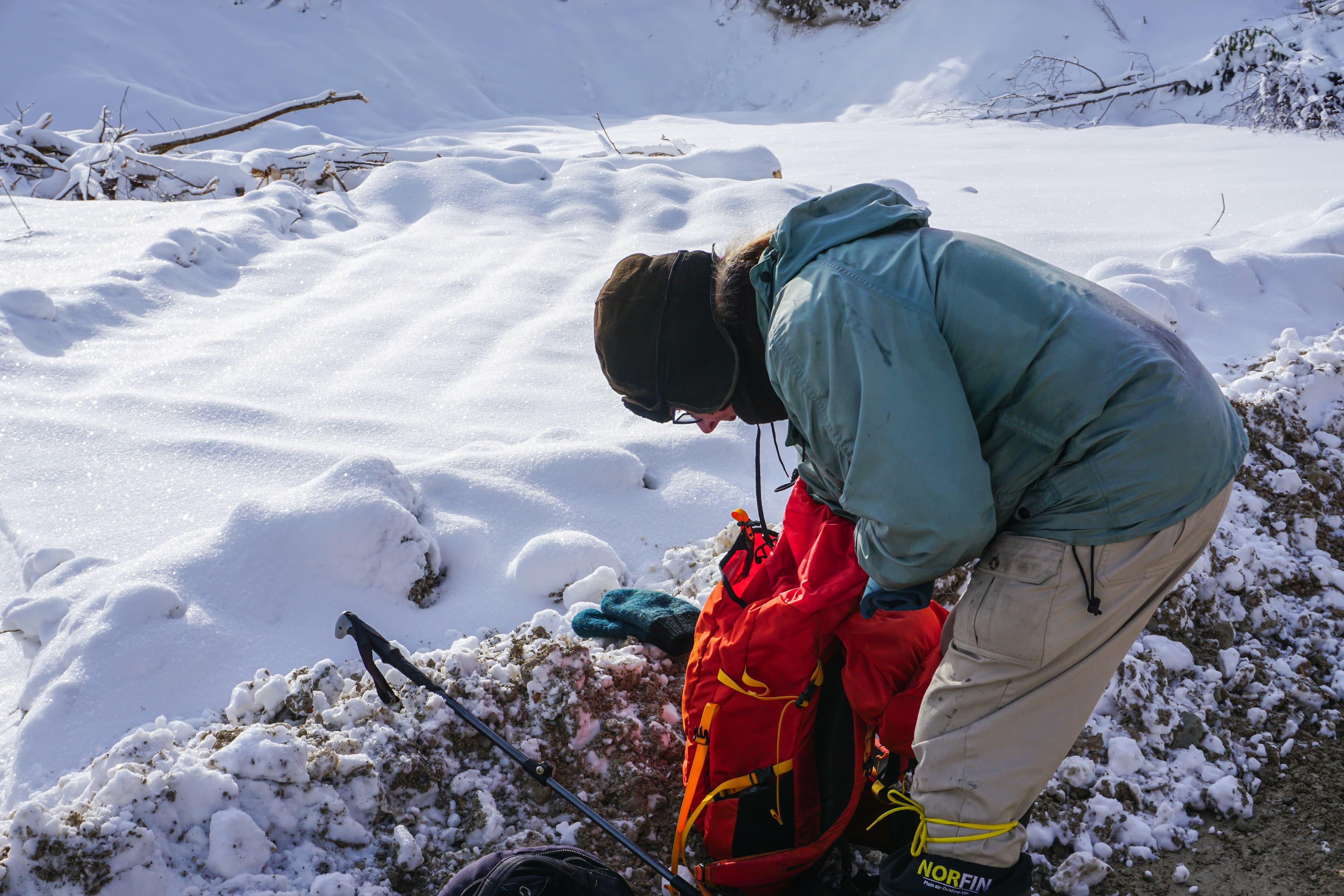 Hiker with trekking poles on mountain trail